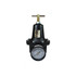 Coilhose Pneumatics 8804GH Compressed Air Regulator: 1/2" NPT, 250 Max psi, Heavy-Duty T-Handle