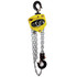 Lift-All MCH100X10 Manual Hoist