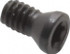 Carmex S-06 Insert Screw for Indexables: Insert for Indexable