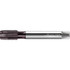 Walter-Prototyp 6432564 Spiral Point Tap: MF12x1 Metric Fine, 4 Flutes, Plug Chamfer, 6H Class of Fit, High-Speed Steel-E-PM, THL Coated