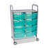 GRATNELLS USA, LLC SASET134429 Callero Plus Shield Double Trolley Set 13, Antimicrobial, Metal, 8 F2 Deep Bins, 27.4" x 17.3" x 41.5", Silver/Trans Kiwi