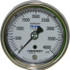 Ashcroft 251009S02BXLL4K Pressure Gauge: 2-1/2" Dial, 0 to 4,000 psi, 1/4" Thread, MNPT, Center Back Mount