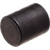 USA Industrials ZUSA-PF-6577 Black Cap: 3/4", Threaded