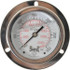 Winters PFP931-25FF-SG. Pressure Gauge: 2-1/2" Dial, 0 to 3,000 psi, 1/4" Thread, NPT, Back Mount