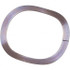 Associated Spring Raymond WWMO008702623 Wave Overlap Washer: 16.46 mm ID, 2.79 mm OAH, 22 mm OD