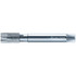 Walter-Prototyp 6149287 Spiral Point Tap: M16x2 Metric, 3 Flutes, Plug Chamfer, 7G Class of Fit, High-Speed Steel-E, Bright/Uncoated