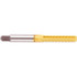 Regal Cutting Tools 008088AS25 #4-40 Bottoming RH 2B H2 TiN High Speed Steel 3-Flute Straight Flute Hand Tap