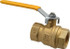 Parker XV520P-20 Standard Manual Ball Valve: 1-1/4" Pipe