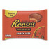 THE HERSHEY COMPANY Reese's® 60004058 Snack Size Peanut Butter Cups, 19.5 oz Bag, 2 Bags/Carton