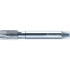 Walter-Prototyp 6149216 Spiral Point Tap: M3x0.5 Metric, 3 Flutes, Plug Chamfer, 6H Class of Fit, High-Speed Steel-E, Bright/Uncoated