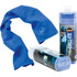 ERGODYNE CORPORATION Ergodyne 12420  Chill-Its 6602 Evaporative Cooling Towel, One Size, Blue