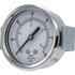 PIC Gauges 103D-258D Pressure Gauges; Gauge Type: Utility Gauge ; Scale Type: Dual ; Accuracy (%): 3-2-3% ; Dial Type: Analog ; Thread Type: NPT ; Bourdon Tube Material: Bronze