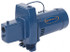 Berkeley 5SN Jet Pumps; GPM @ 20 Feet of Head: 5.60 ; GPM @ 10 Feet of Head: 7.2