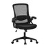 PREMIUM EMU PRODUCTS INC. IF-203-BK ALPHA HOME Ergonomic Mesh Mid-Back Office Task Chair With Padded Armrests, Black