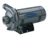 Berkeley S39530 AC Straight Pump: 208 to 230/460V, 1/2 hp, 3 Phase, Cast Iron Housing, Brass Impeller