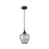 ADESSO INC Adesso 3921-26  Bradford Pendant Lamp, 12-3/4inH x 9inW, Clear Shade/Dark Bronze Base