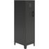 LORELL LYS SL418ZZBK  SOHO Locker - 4 Shelve(s) - for Office, Home, Classroom, Playroom, Basement, Garage, Cloth, Sport Equipments, Toy, Game - Overall Size 53.4in x 14.3in x 18in - Black - Steel