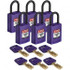 Brady 150204 Lockout Padlock: Keyed Alike, Nylon, 0.7" High, Plastic Shackle, Purple