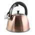 GIBSON OVERSEAS INC. Mr. Coffee 995100663M  2.5-Quart Tea Kettle, Belgrove, Copper