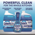 PROCTER & GAMBLE Dawn® Professional 57446 Manual Pot/Pan Dish Detergent, Original Scent, 1 gal Jug, 4/Carton