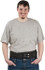 PRO-SAFE 7130-02P Back Support: Belt, Medium, 36 to 48" Waist, 5" Belt Width