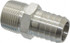 Ham-Let 3001310 Pipe Hose Connector: 3/4" Fitting, 316 Stainless Steel