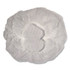 TRADEX INTERNATIONAL AMBITEX® BC241000 BC Series Bouffant Caps, 24", White, 1,000/Carton