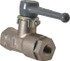 Legris 0402 07 10 Standard Manual Ball Valve: 1/8" Pipe