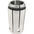 Accupro 584481 Standard Single Angle Collet: TG/PG 100, 0.9688"