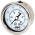 Ametek 165290 Pressure Gauge: 2" Dial, 0 to 60 psi, 1/4" Thread, NPT, Center Back Mount