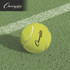 CHAMPION SPORT Sports TB3 Tennis Balls, 2.5" Diameter, Yellow, 3/Pack