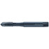 Walter-Prototyp 6149679 Spiral Point Tap: M5x0.8 Metric, 3 Flutes, Plug Chamfer, 6G Class of Fit, High-Speed Steel-E, Vaporisiert Coated