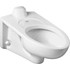 American Standard 2634101.020 Toilets; Bowl Shape: Elongated