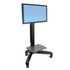 ERGOTRON 24-190-085  Neo-Flex 24-190-085 Display Stand