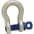 Campbell 5412035 Anchor Shackle: Screw Pin, 24,000 lb Working Load Limit
