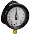 Ametek 150207 Pressure Gauge: 4-1/2" Dial, 1/2" Thread, Lower Mount