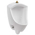 American Standard 6002501.020 Urinals & Accessories