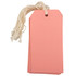 IMSI SOFTWARE PUBLISHING 39197118 JAM Paper Gift Tags, 4 3/4in x 2 3/8in, Pink, Pack Of 10