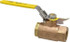 Apollo. 70-104-27-41 Standard Manual Ball Valve: 3/4" Pipe, Standard Port