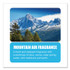 BIG D Industries 358 Water-Soluble Deodorant, Mountain Air, 32 oz Bottle, 12/Carton