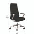 HON COMPANY CEUW0PU10C9P Cofi Executive High Back Chair, Supports Up to 300 lb, 15.5 to 20.5 Seat Height, Black Seat/Back, Polished Aluminum Base