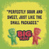 MONDELEZ INTERNATIONAL Sour Patch Kids® 43147 Fruit Flavored Candy, Grab-and-Go, 240-Pieces/Box
