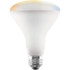 Euri Lighting LIS-B1002 Fluorescent Commercial & Industrial Lamp: 10 Watts, BR30, Medium Base