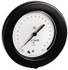 Ametek 132596 Pressure Gauge: 6" Dial, 1/2" Thread, Lower Back Mount