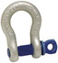 Campbell 5413235 Anchor Shackle: Bolt Pin