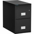 Phoenix Safe International, LLC Phoenix LTR2W31B Phoenix World Class Vertical File - 2-Drawer