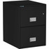 Phoenix Safe International, LLC Phoenix LGL2W25B Phoenix World Class Vertical File - 2-Drawer