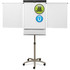 ACCO Brands Corporation Quartet ECM32EU Quartet Compass Nano-Clean Magnetic Mobile Presentation Easel