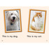 Shell Education 24706 Shell Education Grade K Time for Kids Book Set 1 Printed Book