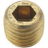 Holo-Krome 11100 1/16-27, 1/4" OAL, Brass Socket Pressure Plug